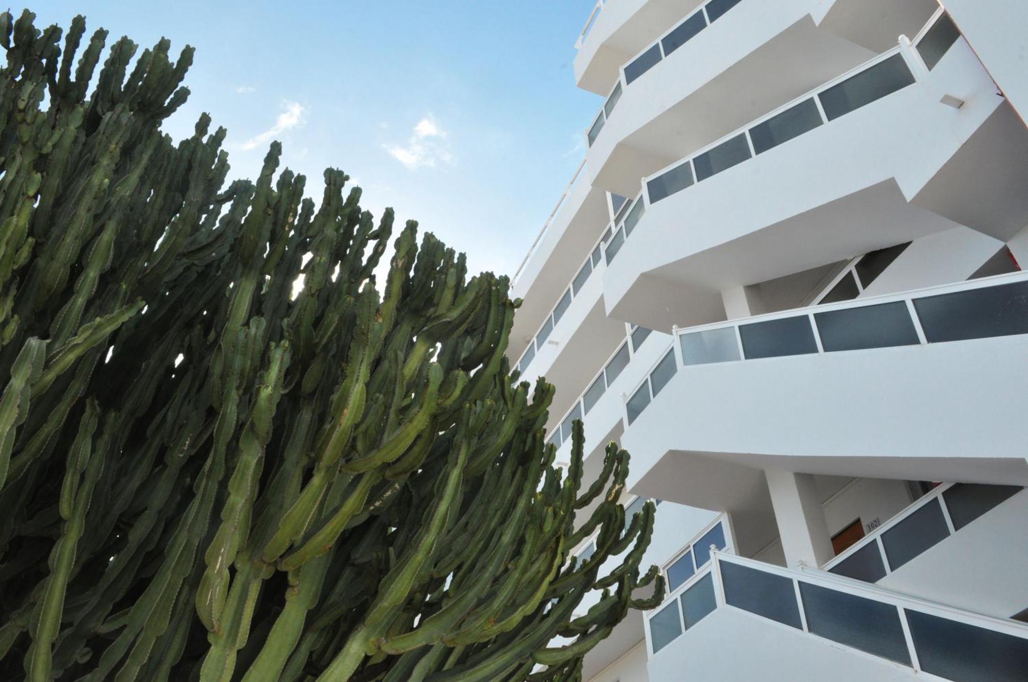 Apartamentos Calma Playa del Ingles  Exterior foto